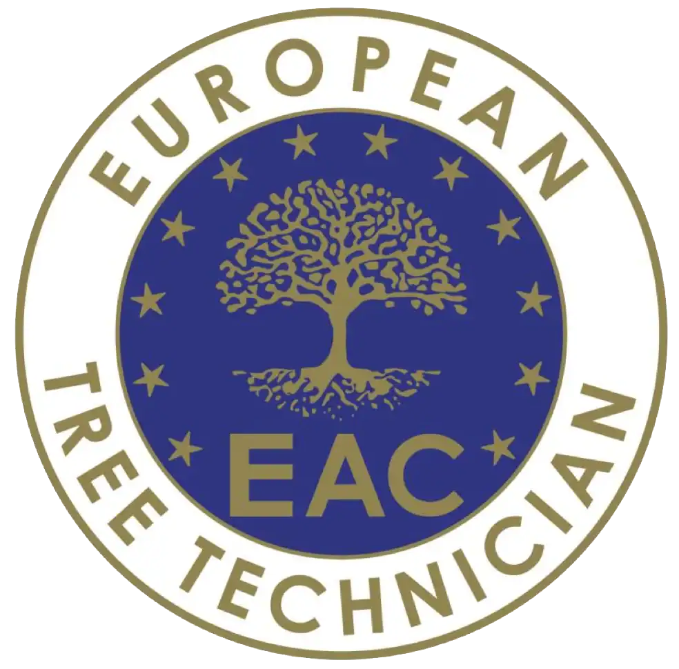 european tree technician